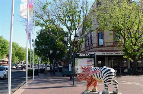 15 Best Things to Do in Dubbo (Australia) - The Crazy Tourist