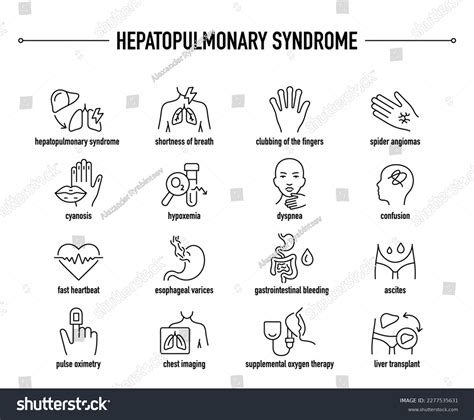 Hepatopulmonary Syndrome Symptoms Diagnostic Treatment Vector Stock Vector (Royalty Free ...