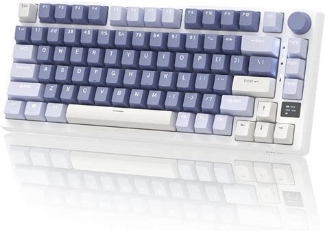 Buy RK ROYAL KLUDGEM75 Mechanical Keyboard, 2.4GHz Wireless/Bluetooth ...