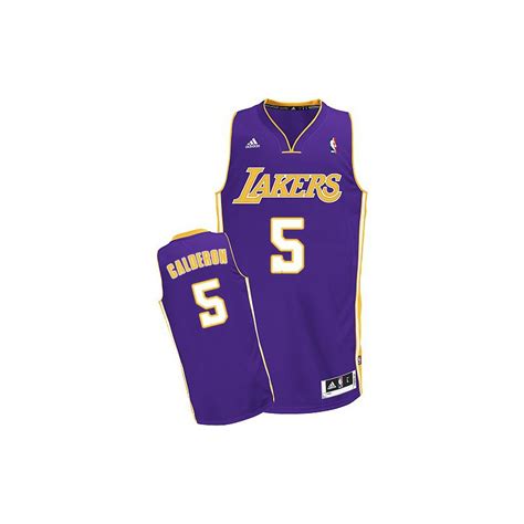 Men's Los Angeles Lakers Jose Calderon Swingman Purple Road Adidas Jersey