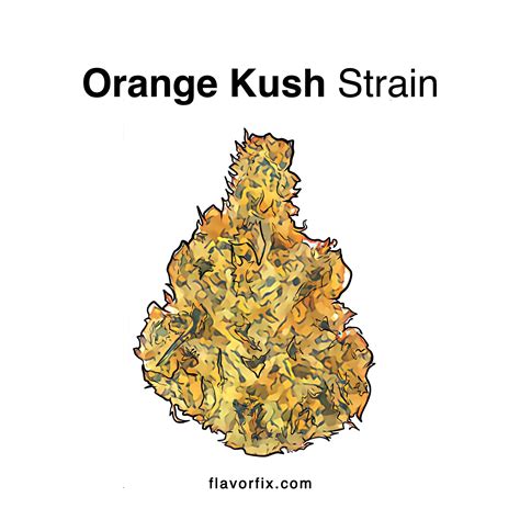 Orange Kush Strain | Cannabis Strains | Flavor Fix