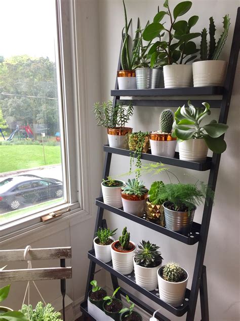 Shelves For Plants: A Must-Have For Every Plant Lover In 2023 – HomeDecorish