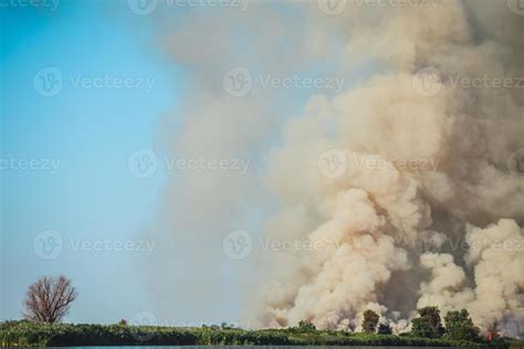 Large clouds of smoke, fire in nature. 4889052 Stock Photo at Vecteezy