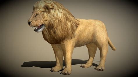 Zoo-animal 3D models - Sketchfab