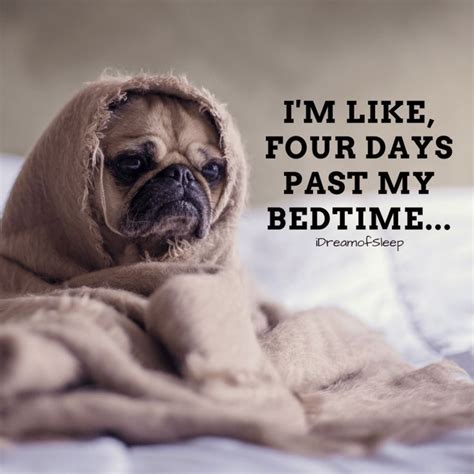 16 Hilarious Can't Sleep Quotes and Sayings Only Insomniacs will Understand - #SleepIlustration ...