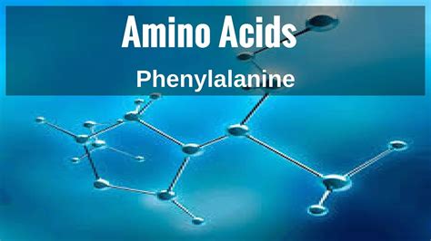 Amino Acids - Phenylalanine - YouTube