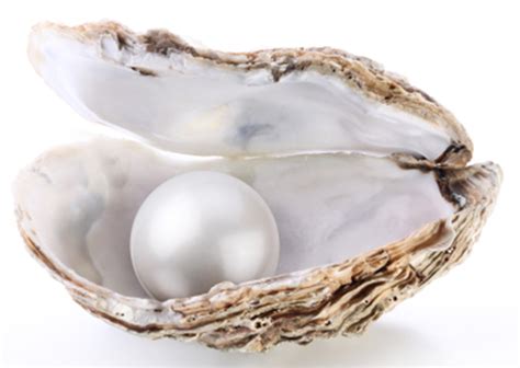 Pearls of wisdom - fascinating facts about pearls :: Pearls Only - Australia | Save up to 80% ...