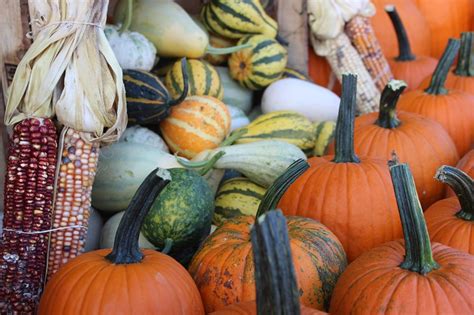 Vendor Halloween Costume Contest at the Carrboro Farmers' Market ...