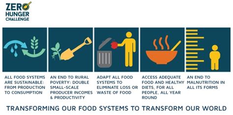 Heavy burden of world hunger and 10 solutions to end it DevelopmentAid