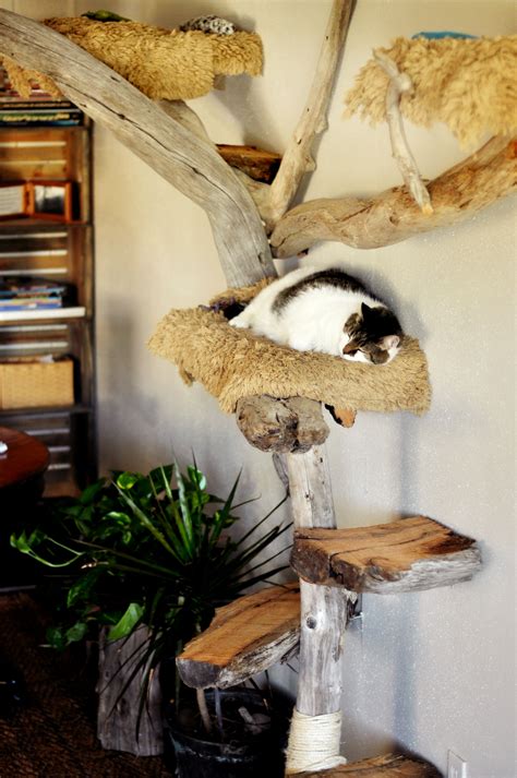 Cat house indoor diy ~ Lavelle Alligood