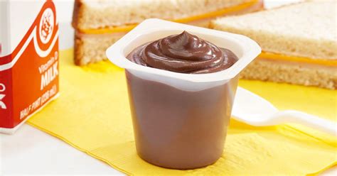 Snack Pack Sugar-Free Pudding Cups 48-Count Just $9 Shipped on Amazon ...