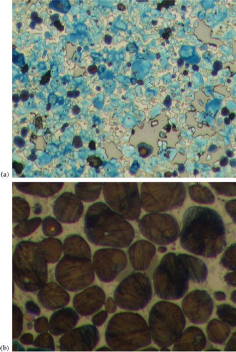 Microstructure of Portland cement clinker without steel slag. (a) Large... | Download Scientific ...