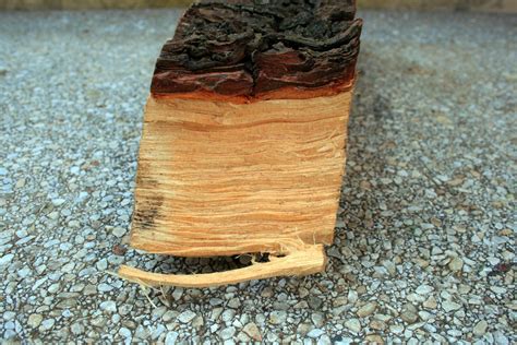 Side And Bark Pf Chopped Wood Free Stock Photo - Public Domain Pictures