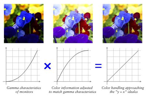 Is the beauty of a curve decisive for color reproduction? Learning ...