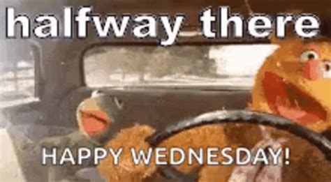 Happy Wednesday Gif GIFs | Tenor