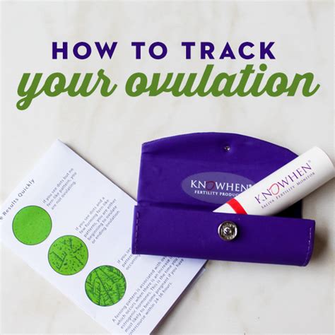 How to Track Your Ovulation - Daily Mom