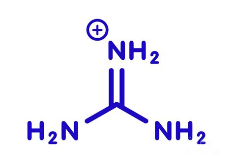 Guanidinium Cation Photograph by Molekuul/science Photo Library - Pixels