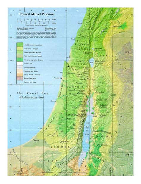 Detallado mapa físico de Palestina | Palestina | Asia | Mapas del Mundo