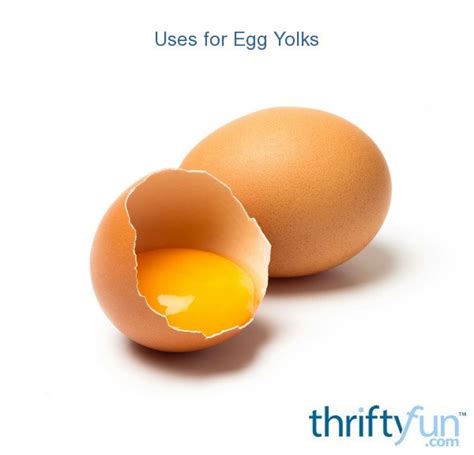 Uses for Egg Yolks | ThriftyFun