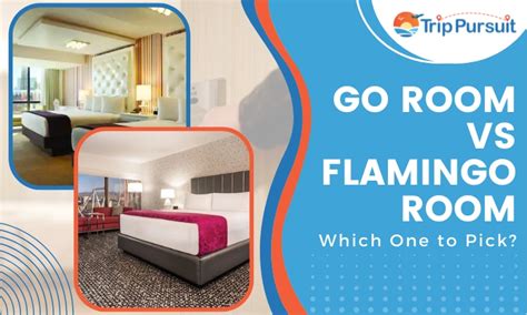 Go Room Vs. Flamingo Room: Which One to Pick? - Trip Pursuit