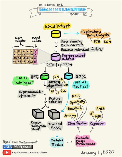 [Infographic] Machine learning Learning Curve — Data Professor