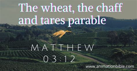 The Wheat, The Chaff And Tares Parable.