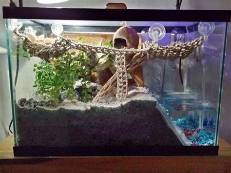 hermit crab tank setup ideas - Google ... | Hermit crab tank, Hermit crab habitat, Hermit crab