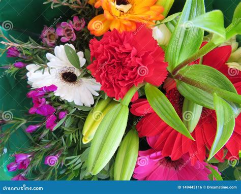 Wonderful Flowers with a Color and Smell so Good Stock Photo - Image of fresh, multicolor: 149443116