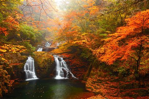 Where to Photograph Autumn Leaves in Japan: 2 Spots Off the Beaten Track