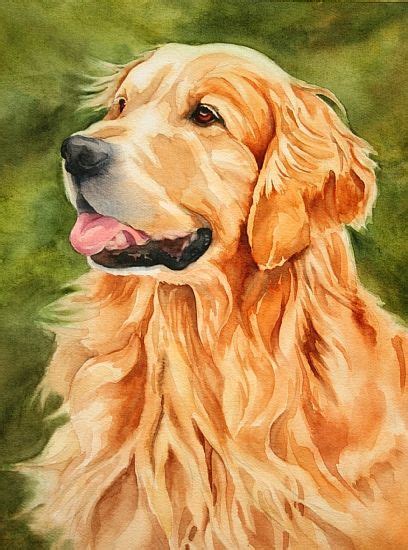 MarySue Krueger - Work Zoom: Toby | Dog watercolor painting, Watercolor dog, Golden retriever ...