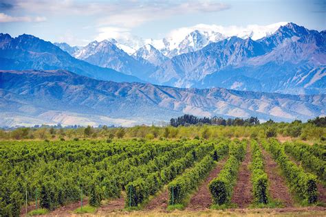Things to do in Mendoza, Argentina | Wine Tours, Attractions & Time to Go