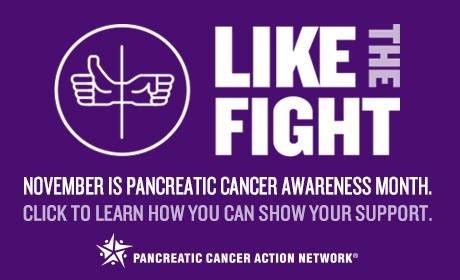 Medflixs - Pancreatic Cancer Action Network