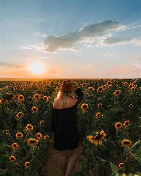 Discover the Best Times and Places to See Wildflowers in Colorado