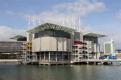 Lisbon Oceanarium | ContemporaryNomad.com