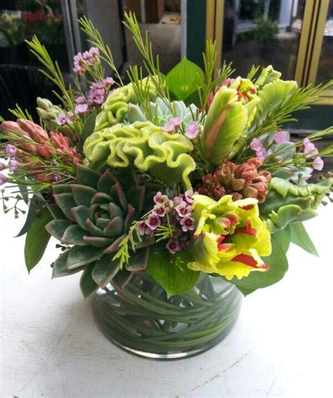 Echevaria celosia and tulip. | Flowers, Floral arrangements, Flower power