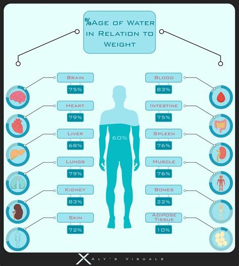 Water percentage in organs of humnan body wrt to weight