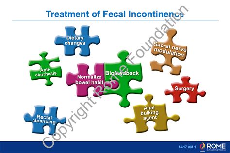 Anorectal 17 – Treatment of Fecal Incontinence – Rome Online