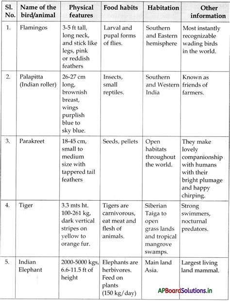 TS 6th Class English Guide Unit 1B I Want Peace – AP Board Solutions