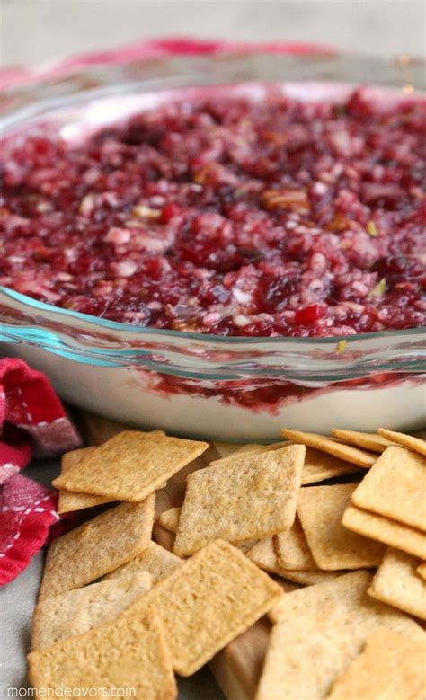 30 Best Christmas Party Dips - Prudent Penny Pincher