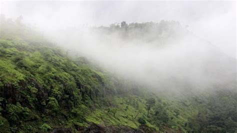 A Slice of Heaven-Wilson Hills Magic in Gujarat - Geotourism