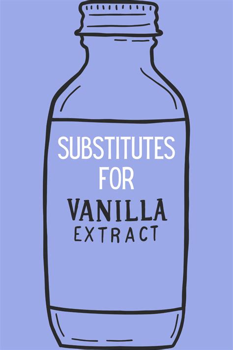 Best 11 Vanilla Extract Substitutes