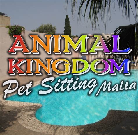 Animal Kingdom Pet Sitting | Bugibba
