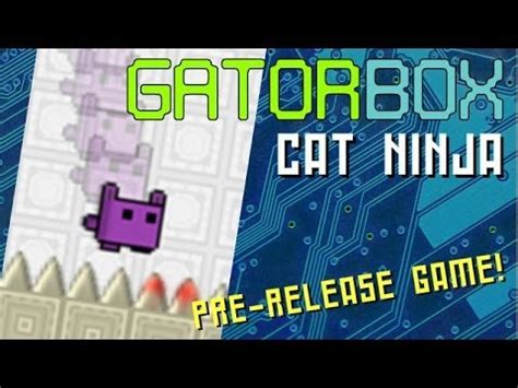 Google cat ninja game - ploralogos