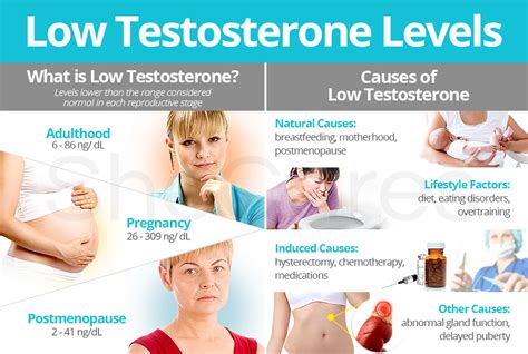 Low Testosterone: Causes, Symptoms And Treatment, 59% OFF