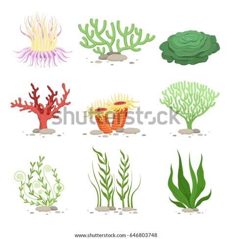 Vector Set Underwater Plants Funny Illustrations Stock Vector (Royalty ...