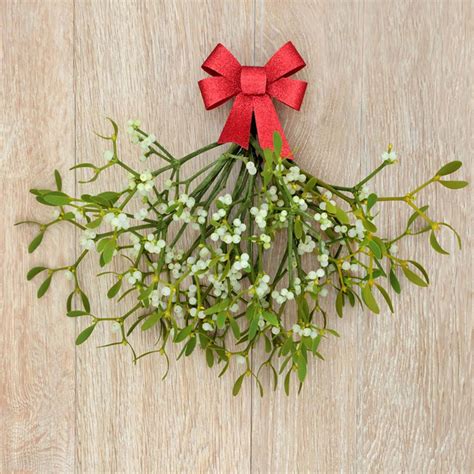 What's Up With the Holiday Tradition of Kissing Under the Mistletoe?