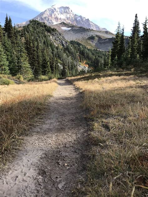 The trails around Mt Hood were incredible : r/hiking