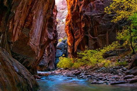 8 Things You Didn't Know about Zion National Park | U.S. Department of ...