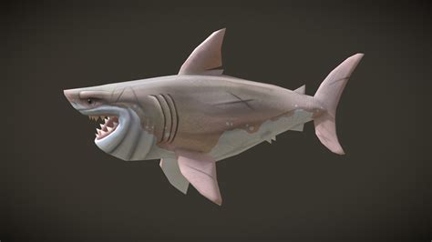 Stylized Shark - Download Free 3D model by kasperromer [50b7659] - Sketchfab