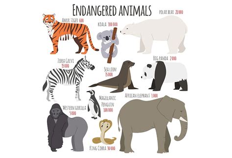 Teach Kids: Names of Animals That Are Endangered